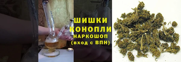 гидропоника Богданович