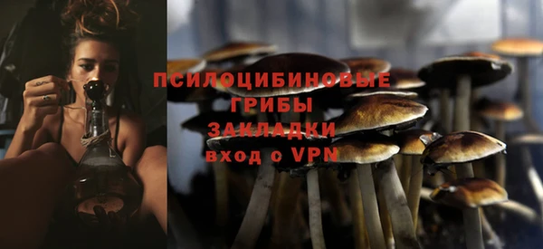 соль ск Тында