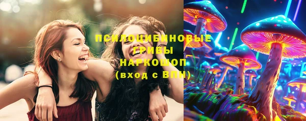 гашик Туринск