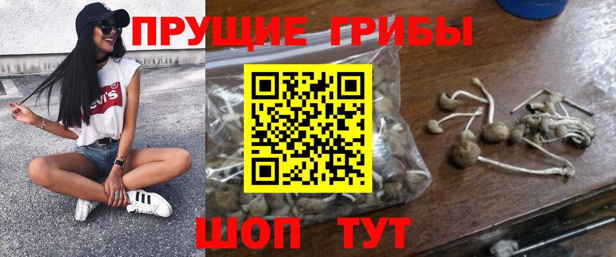 Галлюциногенные грибы Cubensis  Псилоцибиновые грибы мицелий  Вход с VPN  Улан-Удэ 